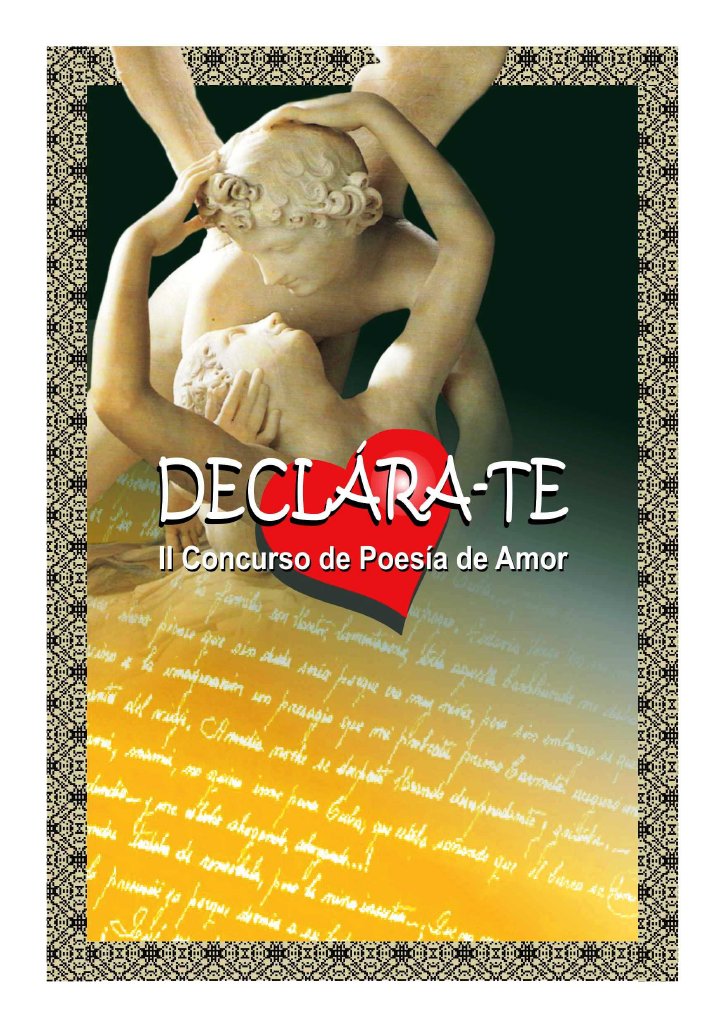 DECLARATE 2013 PORTADA