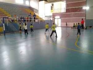 DEPORTE_ESCOLAR_MULTIDEPORTE