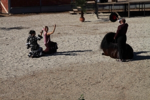 ESPECTACULO ECUESTRE (2)