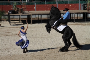 ESPECTACULO ECUESTRE (4)