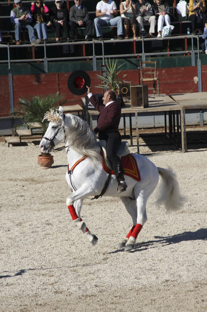 ESPECTACULO ECUESTRE (5)