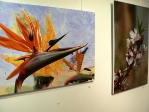 EXPO TODOS CON LORCA (2)