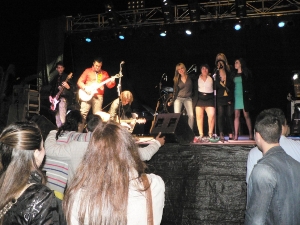 FIESTAS SAN JOSE 2012 (4)