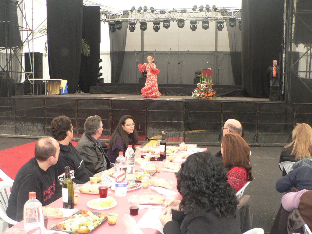 FIESTA DE LOS MAYORES (10)