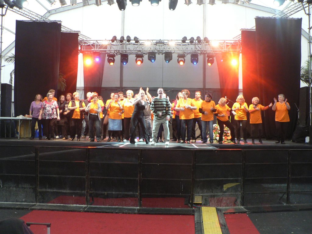 FIESTA DE LOS MAYORES (14)