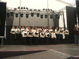 FIESTA DE LOS MAYORES (1)