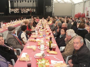 FIESTA DE LOS MAYORES (5)