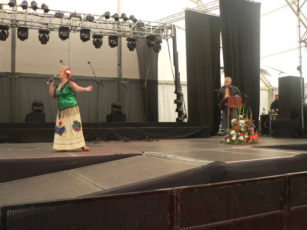 FIESTA DE LOS MAYORES (6)