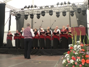 FIESTA DE LOS MAYORES (7)