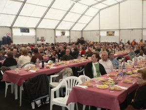 FIESTA DE LOS MAYORES (8)