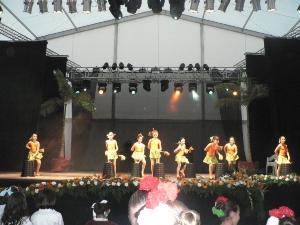 FIESTA INFANTIL (103)