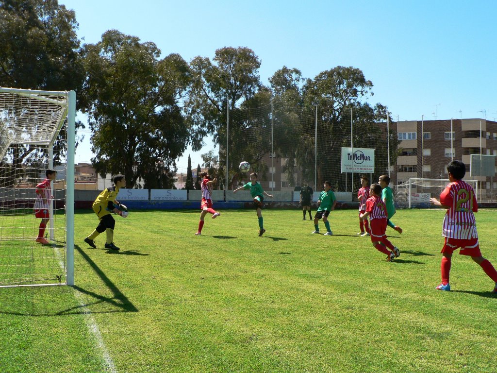 FUTBOL 8 CAMPEONATO ALEVIN 12