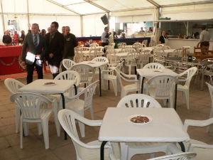 INICIO PATRONALES (5)