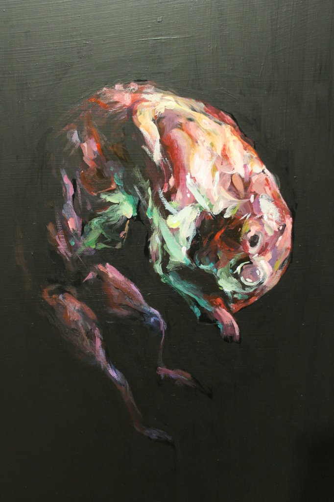 PLACENTA EXPOSICION CEREZO (4)