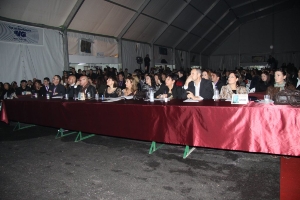 REINA DE LAS FIESTAS (2)