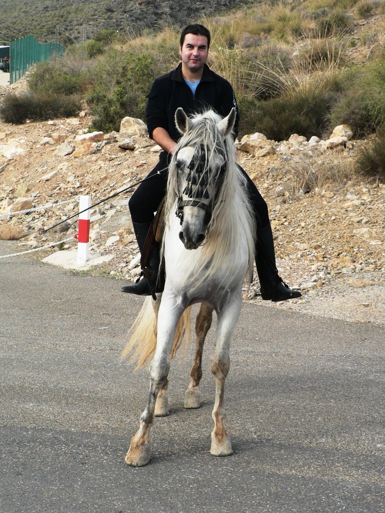 SUBIDA VIRGEN DEL MILAGRO (53)