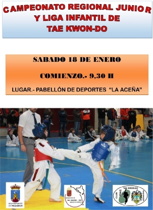 TAEKWONDO_CAMPEONATO_REGIONAL_JUNIOR_2014