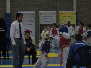 TAEKWONDO INFANTIL (2)