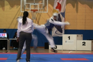 TAEKWONDO JESUS MENDEZ