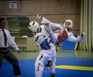 TAEKWONDO JESUS MENDEZ (3)