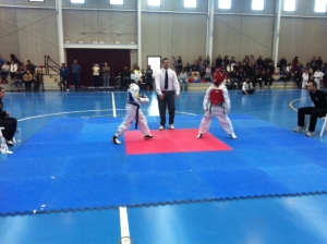 TAEKWONDO LIGA REGIONAL(1)