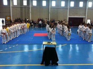 TAEKWONDO LIGA REGIONAL(2)