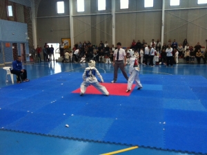TAEKWONDO LIGA REGIONAL(3)