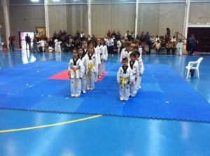 TAEKWONDO LIGA REGIONAL(4)