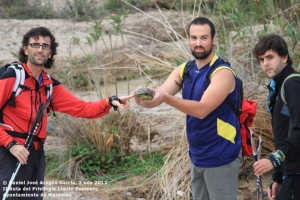 TRAVESIA PONIENTE (6)