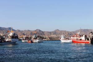 VIRGEN DEL CARMEN 2013 10