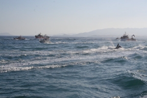 VIRGEN_DEL_CARMEN_REDUCIDAS_02